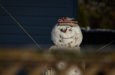 Snowman