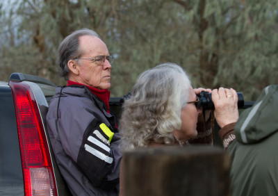 Bob looking serious & Dixie eyeing the birds