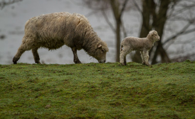 Mum & baby